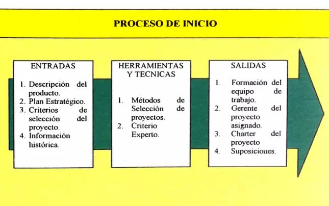 Figura 7:  Fases de los Procesos 