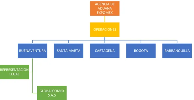 Figura 1 Estructura organizacional 