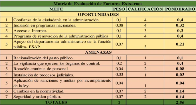 Figura 4. Matriz MEFE 