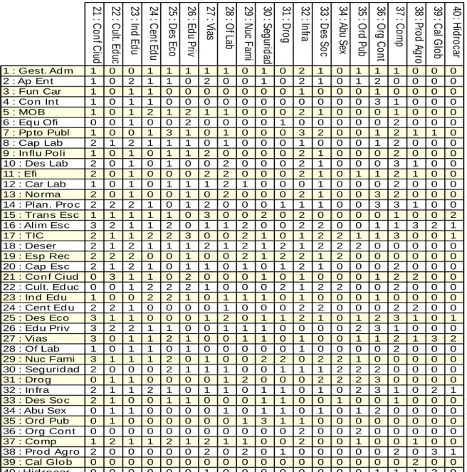 Figura 5. Matriz de datos 