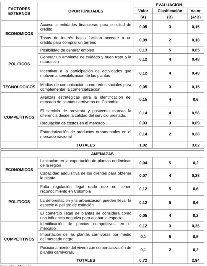 Tabla 10: Matriz de factores externos 