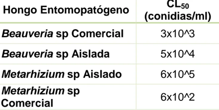 Tabla 7. Concentración letal 50 para cada hongo entomopatogeno evaluado. 