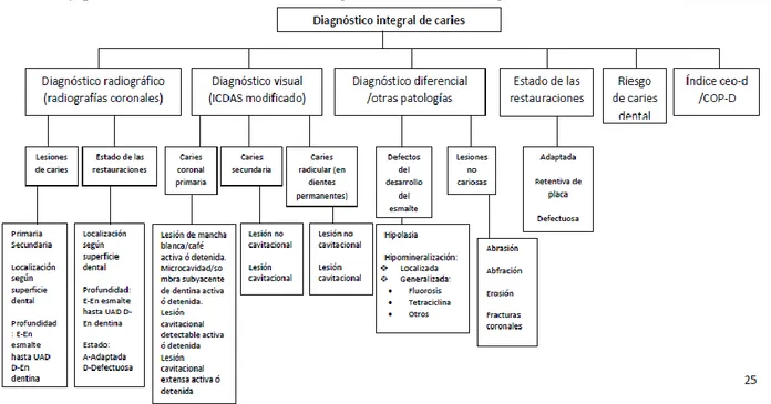 Figura 1.Diagnóstico integral de caries.