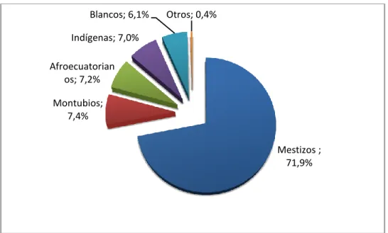 Gráfico 2.6  Etnias 