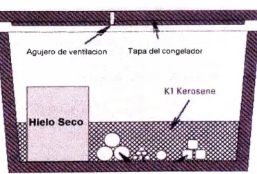 Figura 6.2 - Vista de un congelador de poliestireno usado para el  tratamiento criogénico