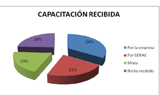 GRÁFICO 12 