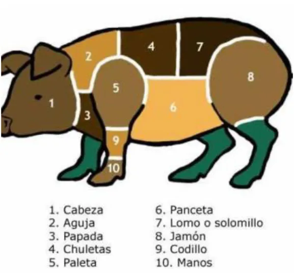 Ilustración 4: Despiece del cerdo 