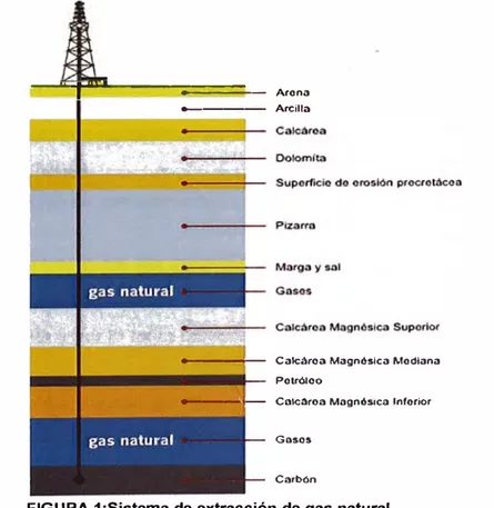 FIGURA 1 :Sistema de extracción de gas natural. 
