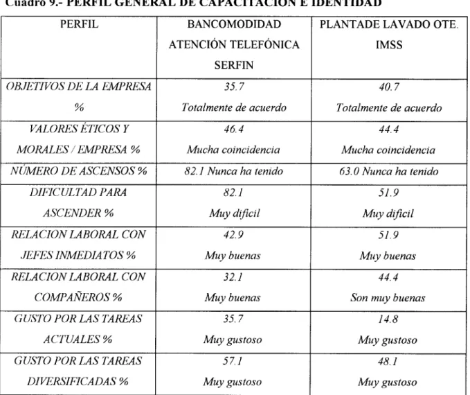 Cuadro 9.-  PERFIL  GENERAL DE CAPACITACIóN  E IDENTIDAD 