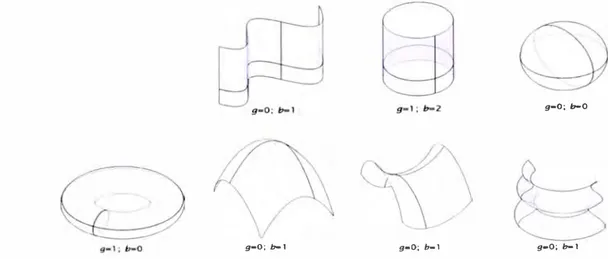 Fig. 5.Tipos de superficies: con curvatura simple las dos primeras y con doble curvatura el  resto (b=número de fronteras, g=género topológico)