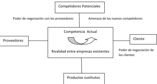 Gráfico  N°18  - Análisis de Porter 