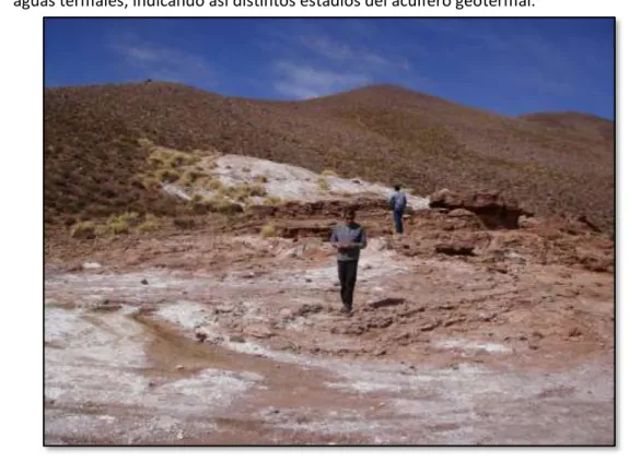 Foto  7:  el  funcionario  del  SEGEMAR  se  halla  precisamente  por  sobre  una  terraza  travertínica  de  origen  geotermal