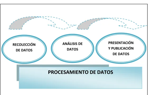 Gráfico 1. Procesamiento de Datos 