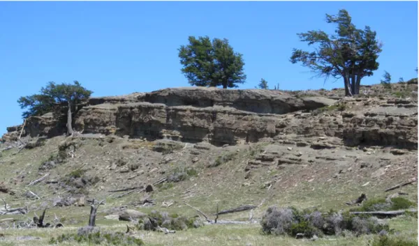 Figura 8: Aspecto parcial de la Formación El Bello al oeste de la vega del río Ñires.