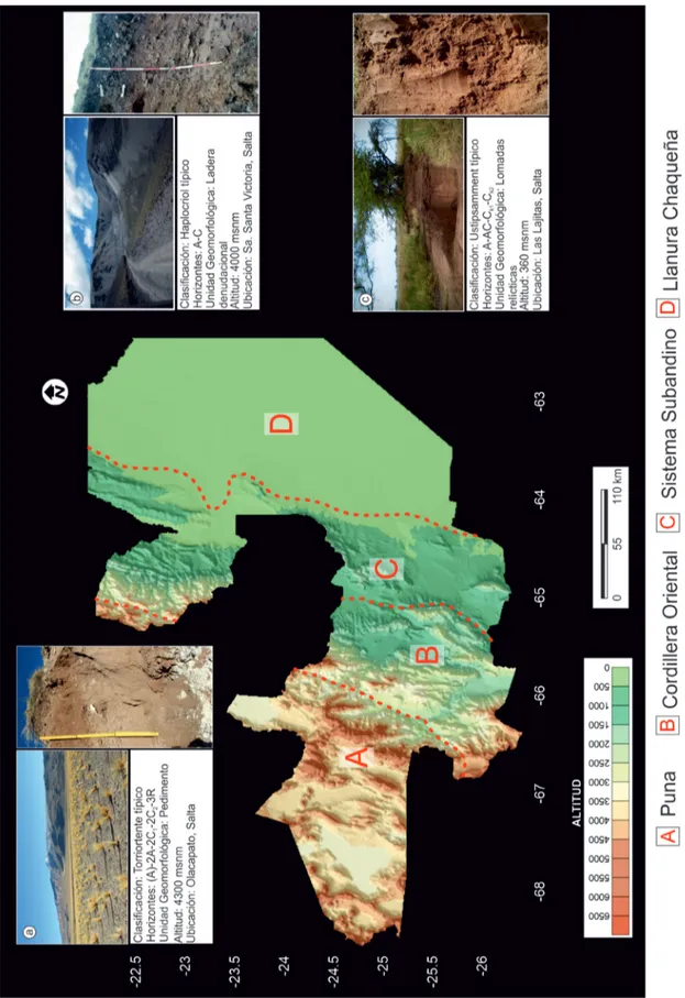 Figura 6. Paisajes y suelos representativos de la provincia de Salta: a. Entisol desarrollado en la Puna salteña (foto D