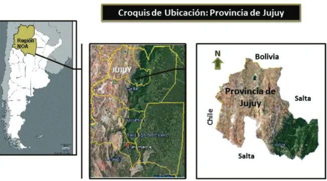 Figura 2. Distribución de la provincias geológicas y regiones geográficas en la provincia de Jujuy, tomado de INTA (1995).