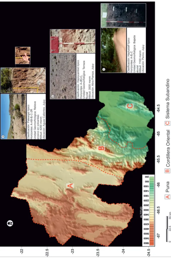 Figura 3. Paisajes y suelos representativos de la provincia de Jujuy: a. Aridisol con horizonte subsuperficial argílico desarrollado en la Puna jujeña