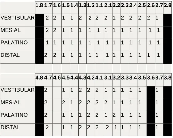 Tabla 11 Índice de placa Silness – Löe paciente  Fuente: Angélica Tapia 