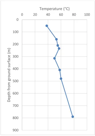 Figure 8: Temperature measured in the Las Termas 12 well (modified from Miró, 2006) 0100200300400500600700800900020406080100