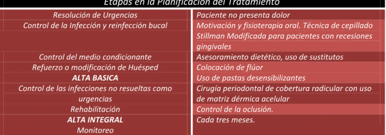 Tabla N o 8: Plan de tratamiento. 