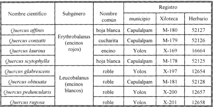 Cuadro 9. Registro  de  los árboles  estudiados 