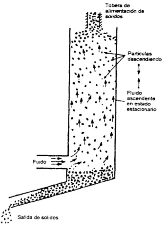 Fig.  5  Nube descendente. 