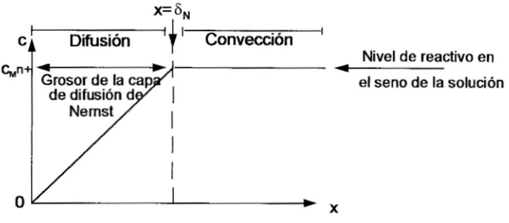 Figura  1.3  Perfil de la capa de  dihsión  de Nernst en la interface electrodo/electrolito en  un 