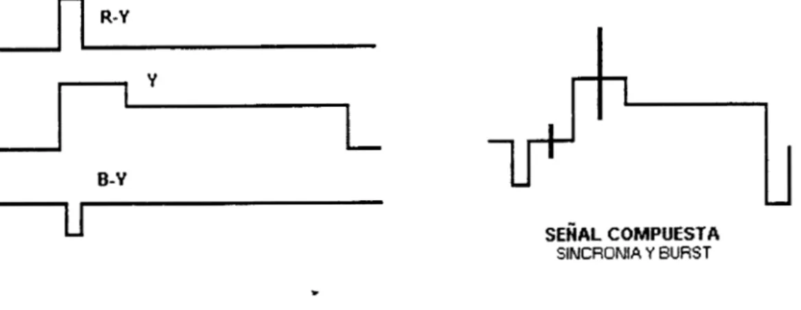 Fig. N o .   5 Formas  de  Onda  de  las  señales  de  luminancja,  diferrencias  de  cdor  y  corrpuesta 