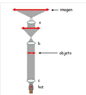 Fig. 19  El funcionamiento del microscopio.