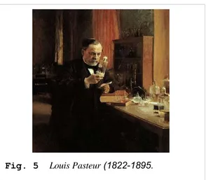 Fig. 6  Experimento de Pasteur sobre la generación espontánea de las bacterias.