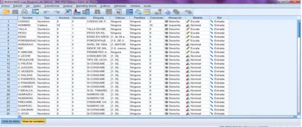 Gráfico 3: Base de datos unificada del Programa para las Ciencias Sociales (SPSS)  versión 19 