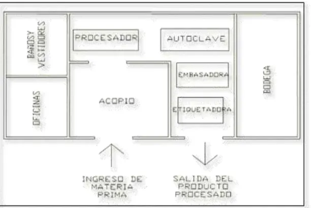 Gráfico 2. Distribución del espacio de la planta procesadora 