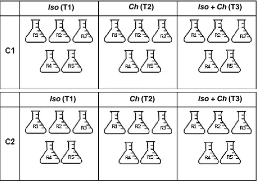 Figura  6.  Diseño  experimental  C1:  copépodo  1,  C2:  copépodo  2,  Iso: Isochrysis galbana y Ch: Chaetoceros sp