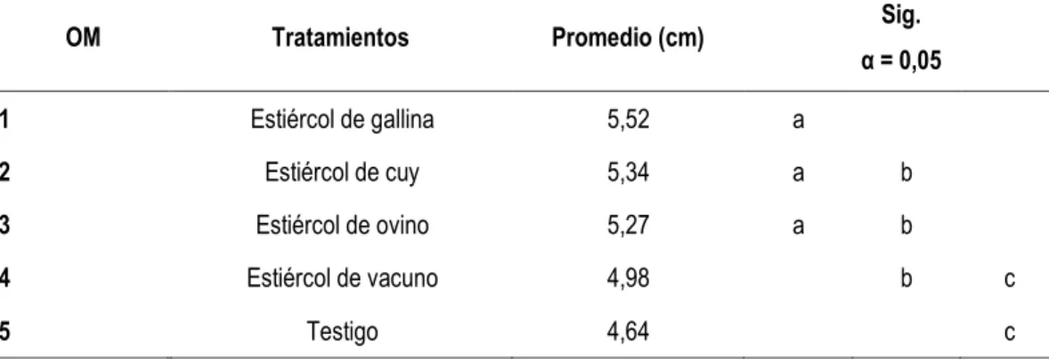 Tabla 13. Prueba de significación de Duncan para diámetro ecuatorial  de fruto (cm) de pepinillo var