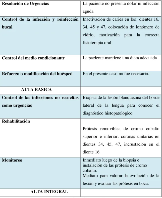Tabla 8. Plan de tratamiento.  