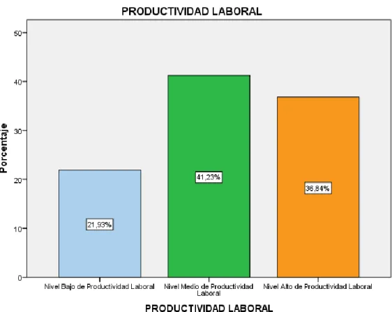 Figura 8. Frecuencia relativa porcentual con datos agrupados según  escala de valoración de la variable Productividad Laboral 