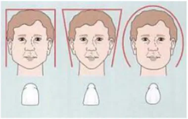 Figura 13 Forma de rostros con formas de dientes.