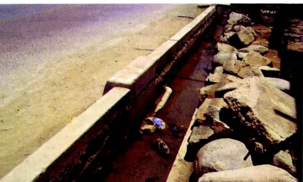 Foto  N º  3.4.  km 33 + 040  Se aprecia el canal de concreto ligeramente obstruido  por desechos,  piedras y sedimentos