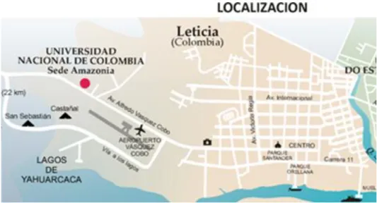 Ilustración 4 Leticia 