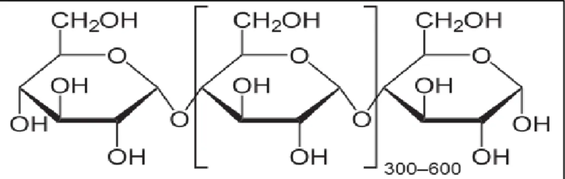 Figura 3. Estructura molecular de la amilosa  Fuente: Arboleda V.; et al. (1975). 