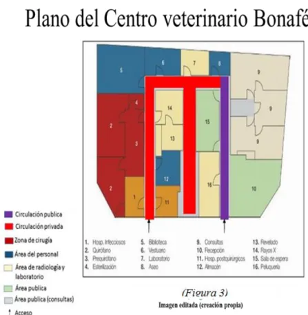 Figura  3.  Plano  de  circulación  y  zonificación  del  Centro  Veterinario  Bonafe  -  Imagen  Editada (creación propia) 