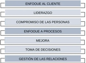 Figura 4: Principios de Gestión de Calidad. 