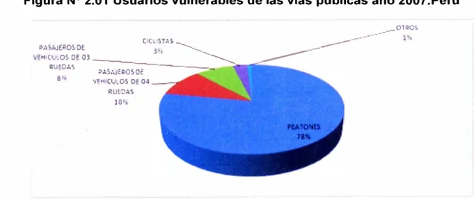 Figura N º  2.01  Usuarios vulnerables de las vías públicas año 2007.Perú 