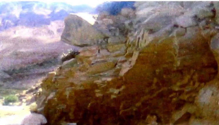 Figura  N º  2.11  Peligro inminente, caída de roca  Km. 115+000 