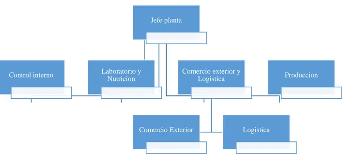 Figura 1. Estructural organizacional de la planta de Campollo S.A. 