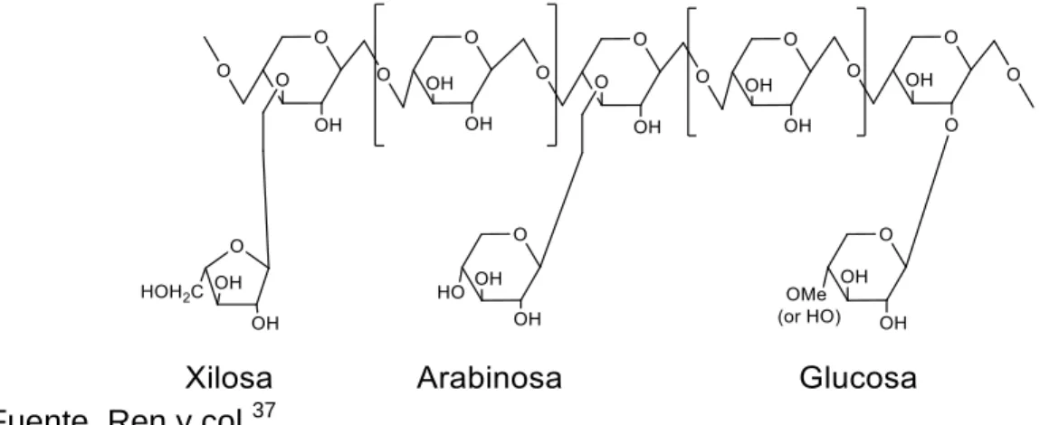 Figura 3: Estructura general de una hemicelulosa  