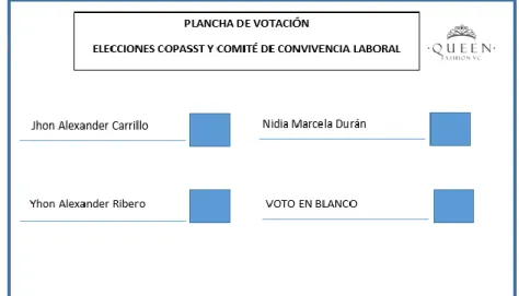 Figura 6. Plancha de votación 