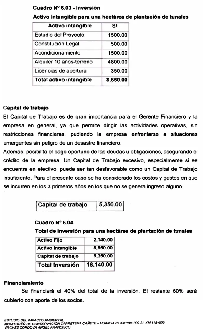 Cuadro N º  6.03 - Inversión 