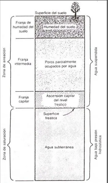 Figura 4. Distribución vertical del agua subterránea 