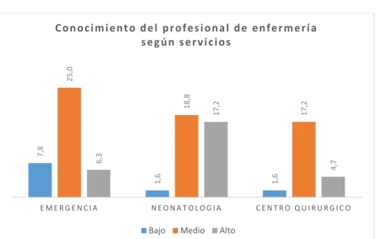 GRÁFICO N° 10 